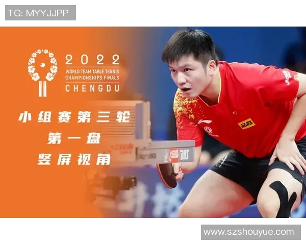 成都排球队在世锦赛中的战术意识与团队协作表现分析 成都排球队在世锦赛中的战术意识与团队协作表现分析