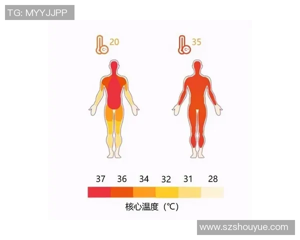 武汉排球队节奏对比分析揭示战术变化与球队表现的深层关系
