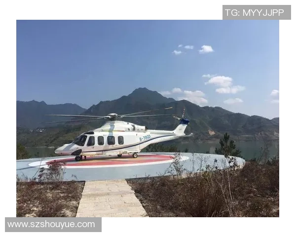 足球明星奢华私人飞机度假之旅揭秘尽享空中豪华与阳光海滩