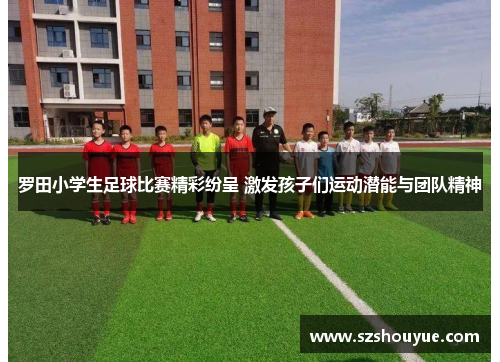 罗田小学生足球比赛精彩纷呈 激发孩子们运动潜能与团队精神
